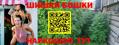 Альфа ПВП Кандалакша