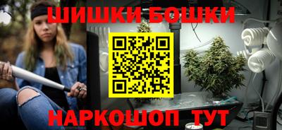2c-b Камышлов